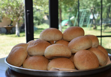 photo_2025-09-08_18-16-59